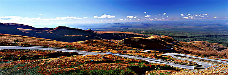 黄色APP下载链接,网络陷阱:揭秘黄色APP传播黑幕-3