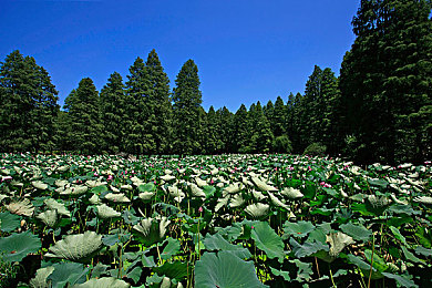 福利导航视频:科技新宠:一应用助你快速掌握海量信息-1