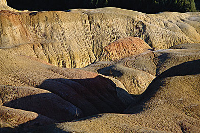 扶老二：街头暖心扶老，传递社会正能量-2