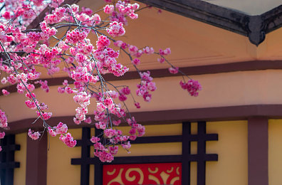 动漫男同♂被 到爽了流:奇幻世界同性恋爱情,作品脱颖而出-2