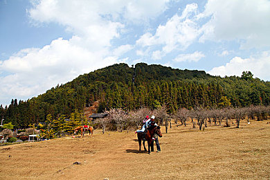 麦乐迪马克斯：音乐迷宫新体验，游戏界新星崛起-3