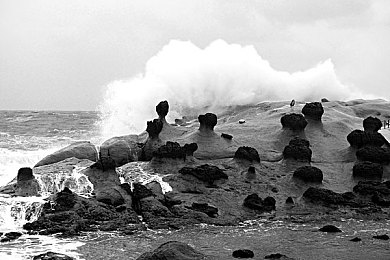 壮熊粗大爽GAY漫画furry：数字时代，独特文化现象引关注-4