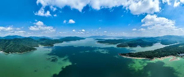 牛奶秋刀姨：牛奶秋刀鱼，新口味饮品来袭