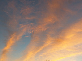 榴莲视频污污污：短视频平台风波：揭秘“榴莲视频”事件真相-1