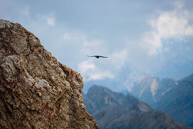 亭亭玉立国色天香综合症怎么得的：罕见遗传病揭秘：多重症状困扰患者-2