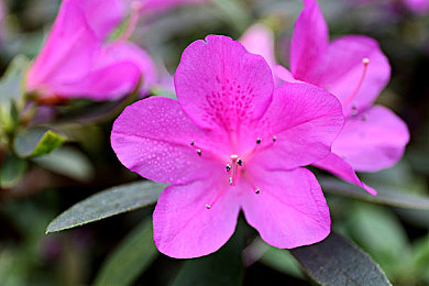 女性坤坤：贫困女孩逆袭，坤坤成多领域翘楚-1