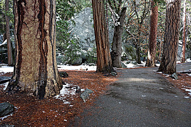 花季传奇v3.0.2隐藏入口：神秘解锁，传奇新世界等你探索-1