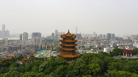 三级育婴师报考条件,育婴师门槛揭秘:七项条件成关键-3