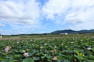 《相约中国》陈丽佳：艺术新星陈丽佳惊艳亮相《相约中国-2