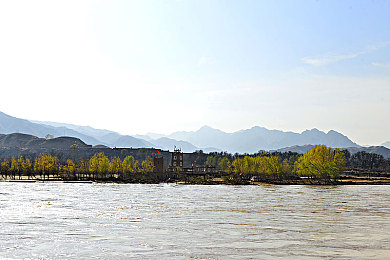 榴莲视频污污污：短视频平台风波：揭秘“榴莲视频”事件真相-2