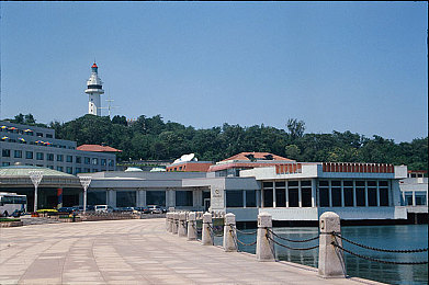 老公顶到了好痛嗯 轻一点：夫妻性生活疼痛揭秘，如何解决？-2