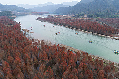 非洲女人与雄性性行为：非洲探险游戏揭秘，神秘风情等你来探秘-1