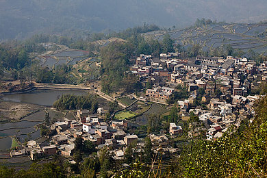 雷蕾丁思聪酒店原声：酒店音乐盛宴，雷蕾丁思聪引领潮流-2
