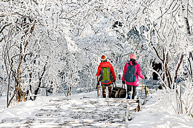 十八禁软件：游戏创新还是道德底线？一游戏引发争议-3