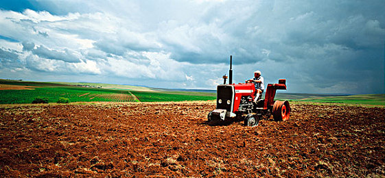 huluwa官网葫芦里不买药：保健品疑云：葫芦里官网售假，揭秘真相-2