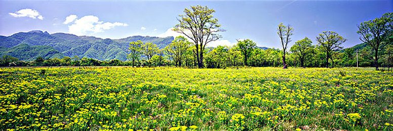 稚嫩花苞被黑人开了:青春少女勇敢维权,正义之光照亮成长之路-1