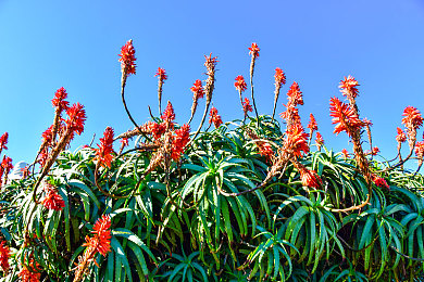 老司机67194：汽车达人传奇：揭秘“老司机67194”-3