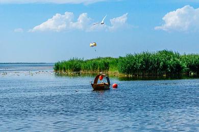 中国女人toilet沟厕：奇幻小镇解谜冒险，厕所难题等你来挑战