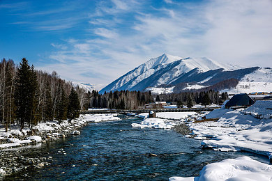 啊∽你tm别 了我的小兔兔：都市上班族宠物情，兔兔陪伴暖人心-2