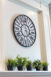 美女憋尿网站秘：揭秘：神秘网站如何走红？-3