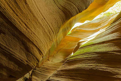 钟欣潼奶头被陈冠希看到了：阿娇陈冠希现场尴尬，低胸装引热议-2