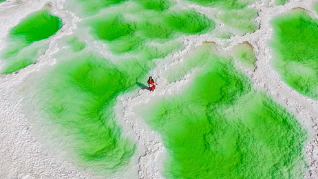 黑人巨坚40Cm大战白女人：种族歧视视频风波，网络监管引关注-3