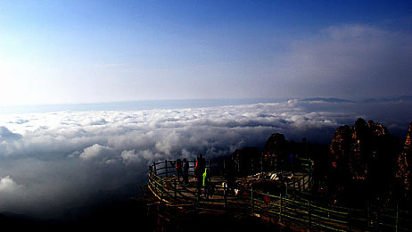 色色色网站：揭秘“色色色网站”：服务多，技术强，成行业黑马-3