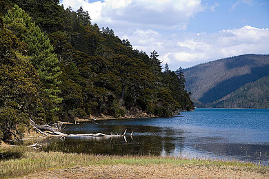 夜夜嗨AⅤ一区二区三区：短视频新宠：揭秘夜夜嗨平台魅力-3