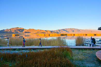 黄色软件安卓：揭秘“黄软”隐患，安全上网防风险