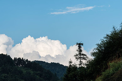 偷窥丶窃摄丶妓女丶自由丶性别：敏感话题引发热议，游戏探索道德边界-2