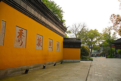 男生女生差差APP：男女差异新平台，社交新体验来袭-2