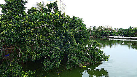 爆乳JUFD496汗だく肉感:爆乳健身达人汗水绽放健康之美-2