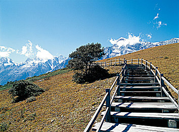 麻花传md0719苏语党沈娜娜：网剧《麻花传》沈娜娜演技爆表，人气飙升-3