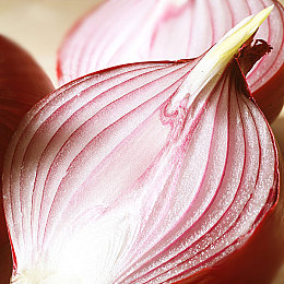 人与马胶配方大全高清：揭秘：神奇胶水，宠物家居两相宜-2