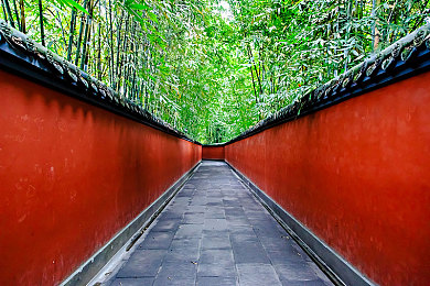 911八卦爆料网:神秘世界冒险,宝藏寻踪新游戏引期待-3