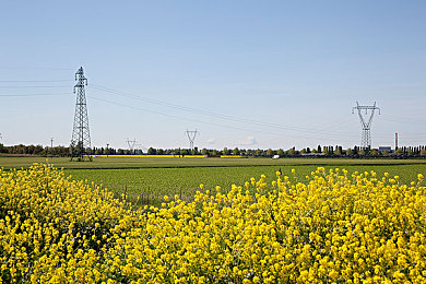 3D人跟各种怪物做：3D巅峰对决，挑战无限乐趣-3