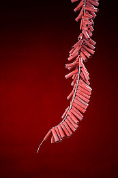 揉我胸 啊 嗯出奶了h：神秘村庄奶源之谜：互动游戏引争议-3