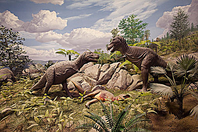 小s货几天没做都湿成这样：神秘大陆惊现爆款游戏，玩家热议：几天不玩都激动不已-4