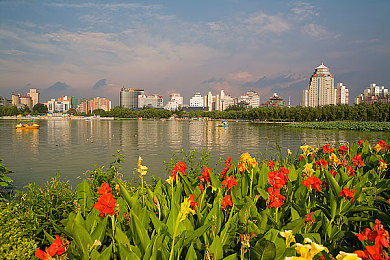 成品ppt的网站免费观看:免费PPT宝库,助力工作学习-2