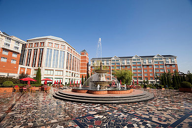 老女人擦他毛耸耸的黑色隂户:勇敢阿姨公园善举,传递人间温暖-2