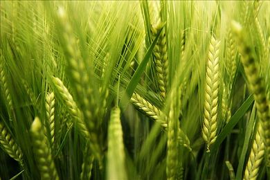 老少配vⅰde0Snd乱配：婚恋新潮流：揭秘娱乐圈老少配之谜-1