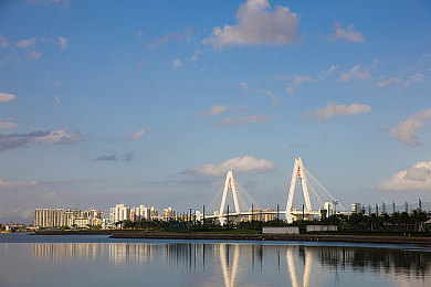 空姐2019满天星法版：星辉照耀下的职业光芒：航空女神绽放光彩，揭秘空中天使的秘密