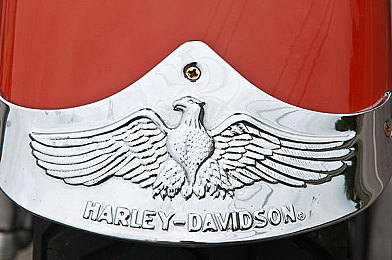 麻麻扒开内裤让我添：手游《奇幻冒险之旅》神秘剧情引热议-2