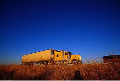 新婚XXXX自拍XXXⅩ：甜蜜瞬间走红，新婚自拍成时代见证-2