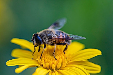 插插软件：脑洞大开！新游戏挑战视觉与智力-4