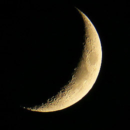 被黑人侵犯人妻明里：神秘世界冒险，人性光辉引热议-2