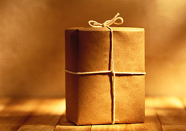 用毛笔刷尿孔崩溃:厕所清洁新招引争议,毛笔刷尿孔意外崩溃!-1