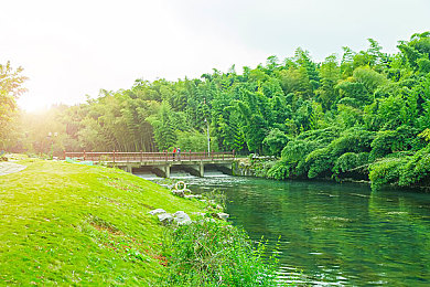 黄色APP软件大全:揭秘:热门游戏APP大盘点,哪款最适合你?-5