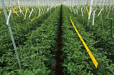 那英BB好看吗：奇幻冒险新游，美战神“那英BB”亮相引热议-2