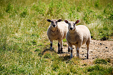 qqc.live十年沉淀做精品:十年深耕,直播盛宴来袭-5